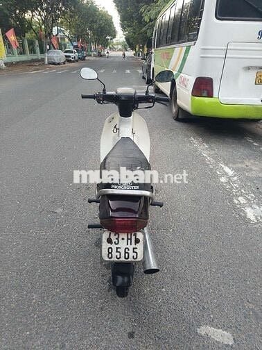Dream Deahan Hàn Quốc biển 43