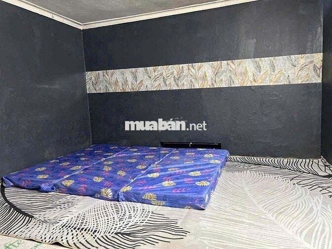 Cho thuê nhà riêng ngõ 279 Hoàng Mai - sát Feliz home -30m2 -2.5 tầng