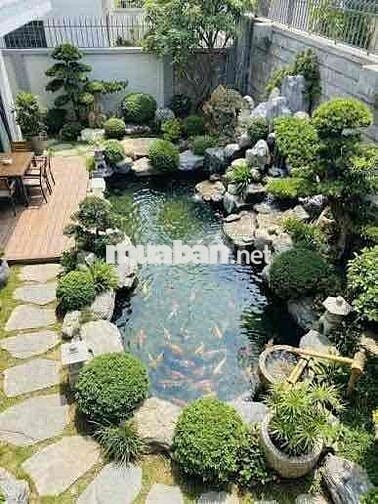 OXYGREEN TÌM ĐỒNG ĐỘI