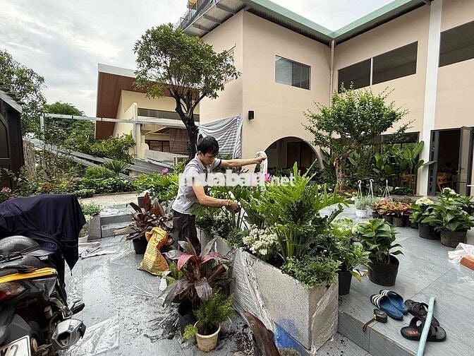 OXYGREEN TÌM ĐỒNG ĐỘI
