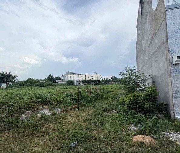 BÁN ĐẤT ĐƯỜNG XE HƠI XUÂN THỚI SƠN HÓC MÔN – 110M² – SHR RIÊNG – 3,15T