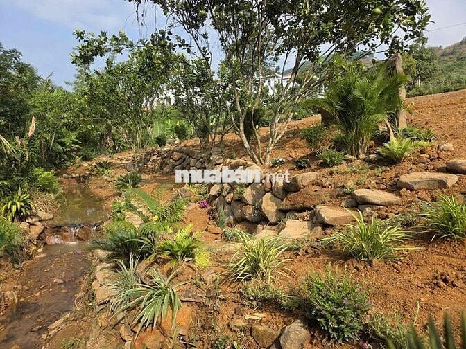 ✨ Chỉ 2,8 tỷ sở hữu lô đất ôm suối đẹp bậc nhất Bảo Lâm