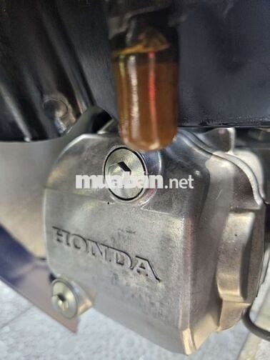 Honda Wave a 2023 Xanh 29520 km