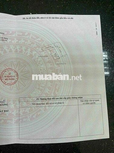 Nhà mái Thái mới 100% 1/Nguyễn Chí Thanh vào 30m.nhựa 4m