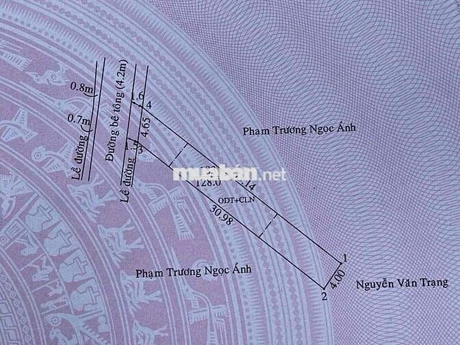 Đất Chánh Mỹ ngay đài Đức Mẹ Maria đường 6m thông 4x30