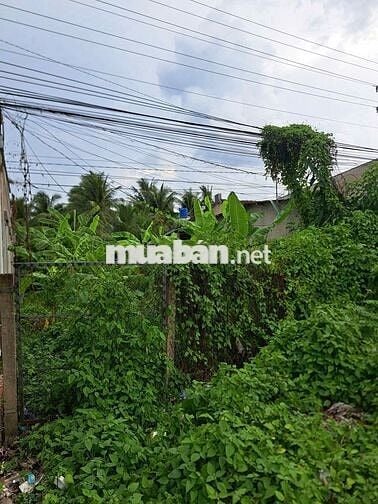 MẶT TIỀN QL57C GẦN KCN AN HIỆP