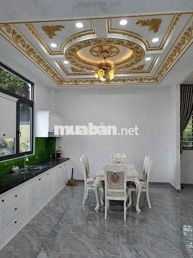 Nhà mái Thái mới 100% 1/Nguyễn Chí Thanh vào 30m.nhựa 4m