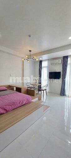 Bán CHDV Trường Sơn, Tân Bình DT 12x17 Hầm 7 lầu Thu nhập 300tr/th 