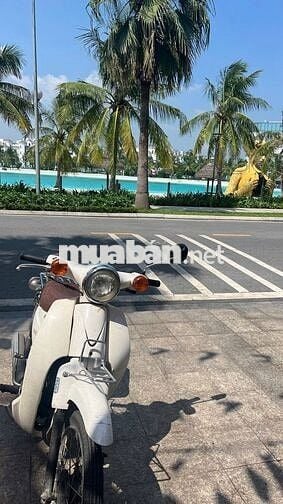 Xe máy Cub 50cc Trắng Cho Học Sinh