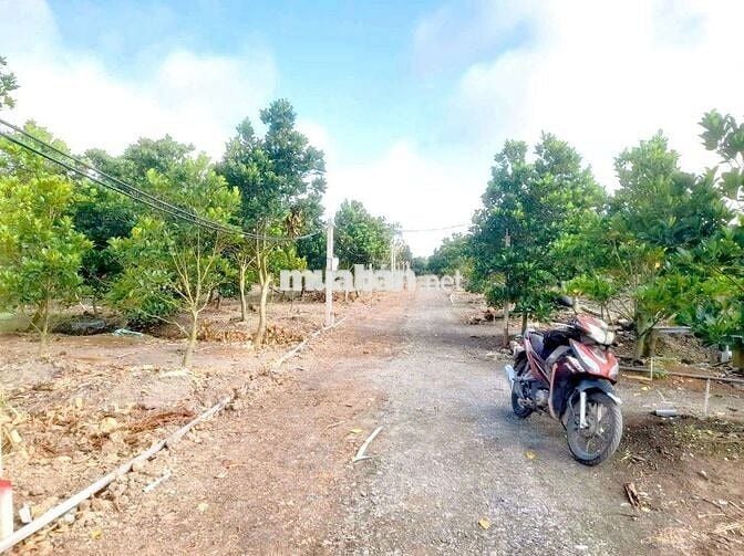 Hàng F0, chỉ 320tr sở hữu 500m² đất vườn view kênh