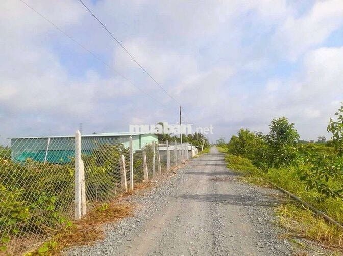 Hàng F0, chỉ 320tr sở hữu 500m² đất vườn view kênh