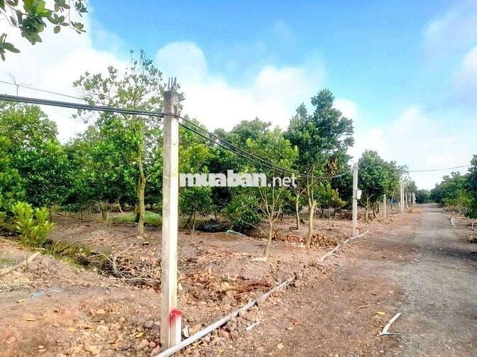 Hàng F0, chỉ 320tr sở hữu 500m² đất vườn view kênh