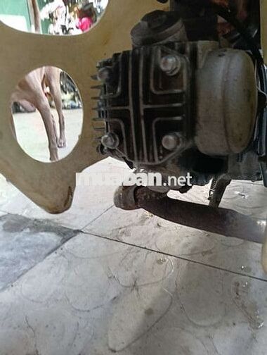 Honda Cub 50 Cam, Trắng Đã sử dụng