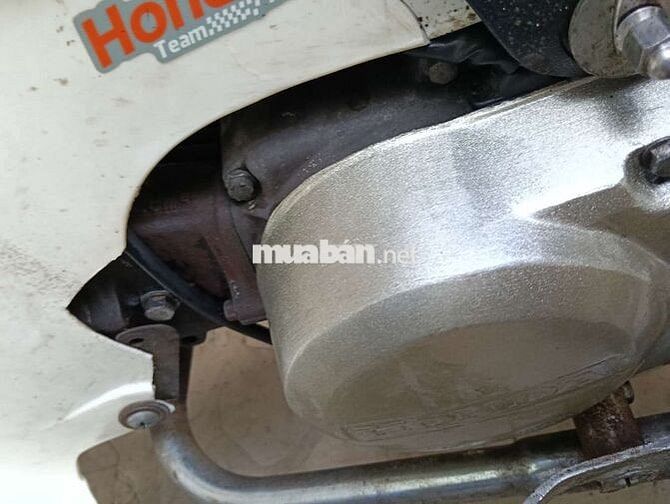 Honda Cub 50 Cam, Trắng Đã sử dụng