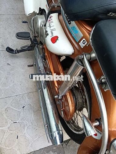Honda Cub 50 Cam, Trắng Đã sử dụng