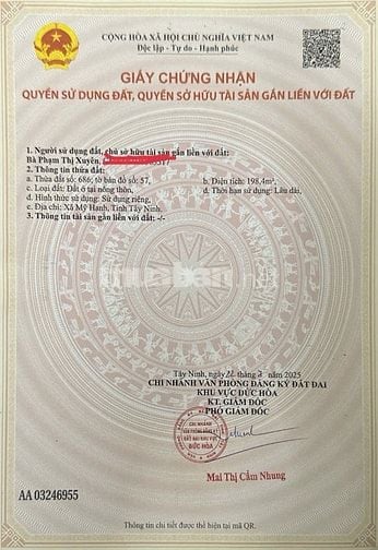 🌳 CHÍNH CHỦ CHO THUÊ ĐẤT THỔ CƯ – PHÙ HỢP TRỒNG CÂY KIỂNG, VƯỜN ƯƠM 