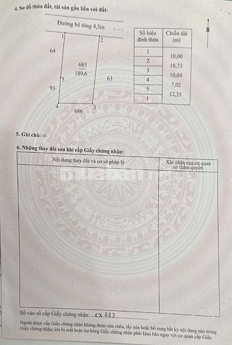 🌳 CHÍNH CHỦ CHO THUÊ ĐẤT THỔ CƯ – PHÙ HỢP TRỒNG CÂY KIỂNG, VƯỜN ƯƠM 