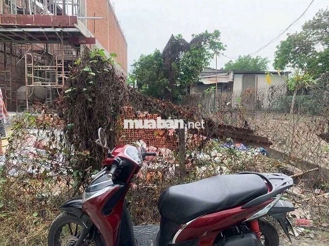ĐẤT BÌNH NHÂM 70 ,LÁI THIÊU ,TP HCM