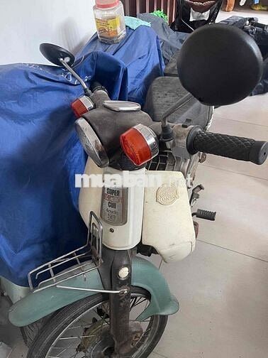 Honda Cub 81 cần bán