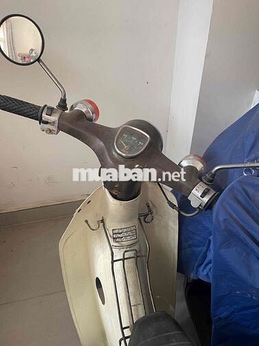 Honda Cub 81 cần bán