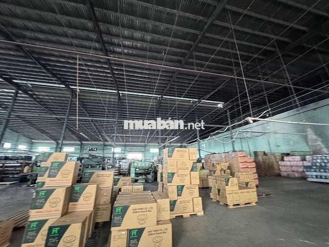 Cho thuê kho xưởng 2000m2- 3000m² -5000m2-10.000m2 Đức Hoà Long An 