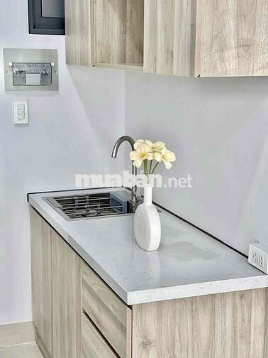 Căn Duplex Cửa Sổ Ngay ĐH Văn Hiến - Âu Cơ - Bàu Cát