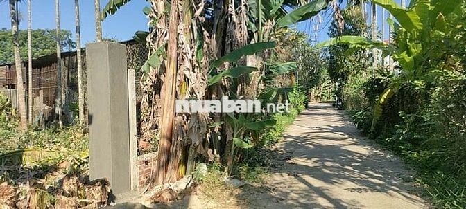 Cần tiền bán gấp biệt thự vườn