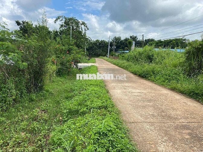 Chính Chủ Bán Lô Đất Tổ 1 Ấp Phú Lạc Bình Long Bình Phước 285m Giá 650