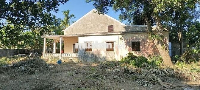 Cần tiền bán gấp biệt thự vườn