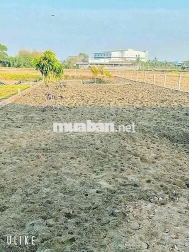 Chủ kẹt tiền gửi bán gấp🔥lô đất vườn 500m2 gần ytế mỹ lộc giá 700tr