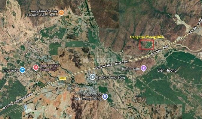 CHÍNH CHỦ BÁN VƯỜN CLN 17,7 Ha tại xã Phú Lạc, Bình Thuận (cũ)