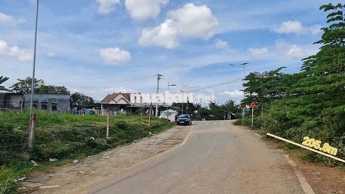 BÁN ĐẤT CLN ĐƯỜNG NHỰA TRUNG TÂM DIÊN XUÂN