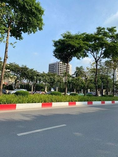 NHÀ DÒNG TIỀN - VUÔNG VẮN- MẶT PHỐ THANH XUÂN ĐẮC ĐỊA NGUYỄN HUY TƯỞNG