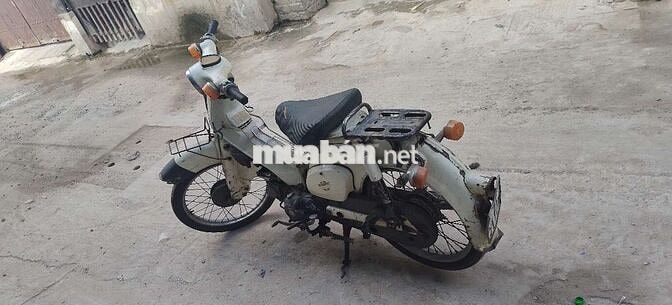 Honda Cup 81 Trắng