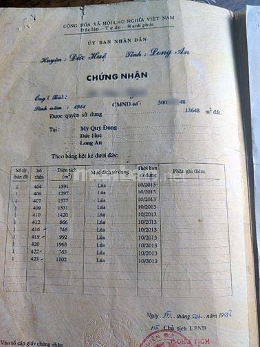 ĐẤT LÚA GẦN UB XÃ MỸ QUÝ ĐÔNG, 14 công