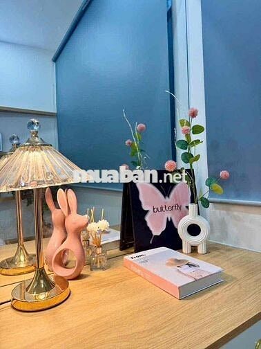 Full NT - 4 PN nhà đẹp Quân 3 giá 15tr