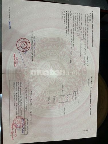 🏡 BÁN NHÀ ĐẸP 3 TẦNG 1 TUM – NGÕ 3M – 48 PHƯƠNG LƯU, HẢI PHÒNG