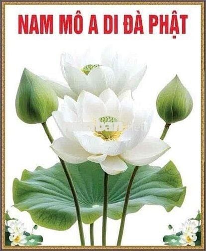 cho thuê tầng 1 biệt thự Hin Lam (20x20) giá 50 tr
