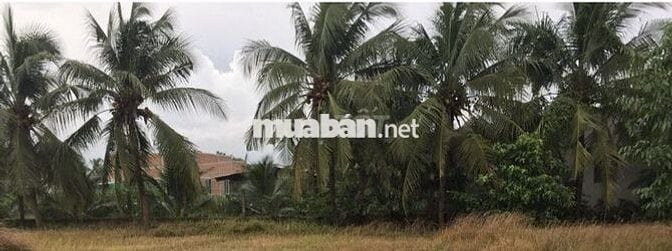 Bán đất khu dân cư châu thành, tiền giang