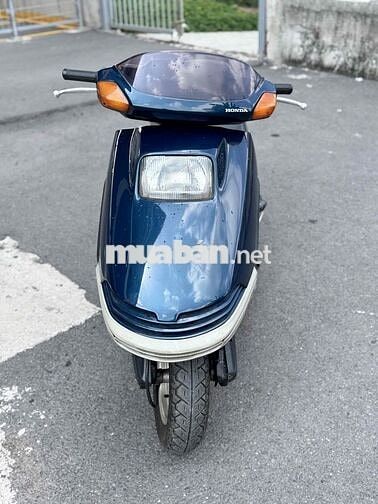Honda Free way bao cọp ae oi