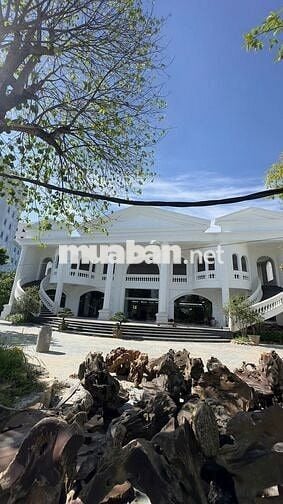 [***] 19 NHÂN VIÊN HÀ NỘI