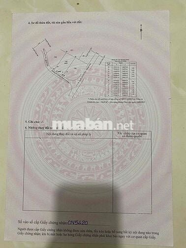 Chính chủ cần ra ngay trong tháng. 8x16 full thổ