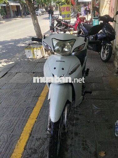 Honda Wave 2024 Trắng 6231 km