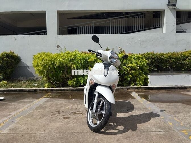 Janus 2025 chính chủ BSTP 5800 km