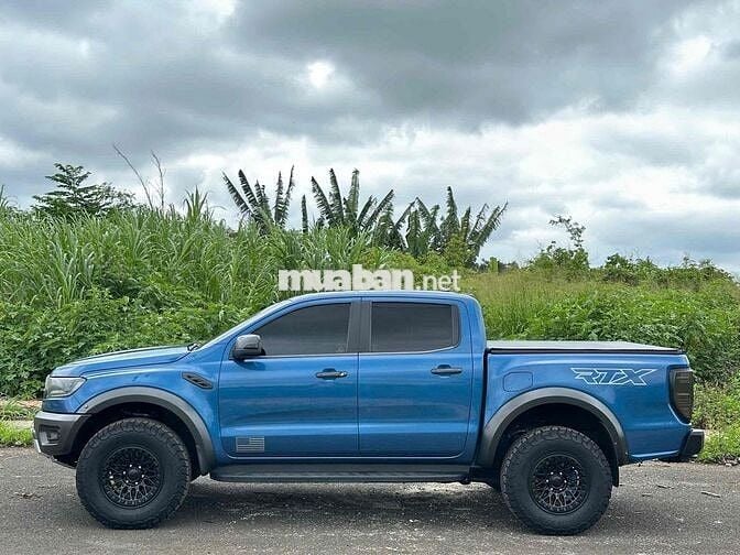 RAPTOR 2020