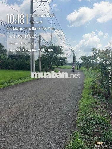 Đất Mặt Tiền Bảo Quang Long Khánh