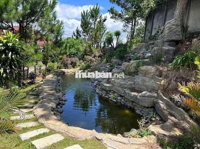 Bán Villa Sân vườn rộng trung tâm TP Đà Lạt