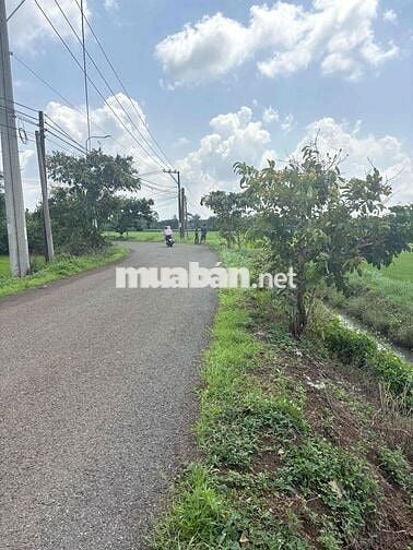 Đất Mặt Tiền Bảo Quang Long Khánh
