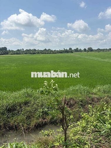 Đất Mặt Tiền Bảo Quang Long Khánh