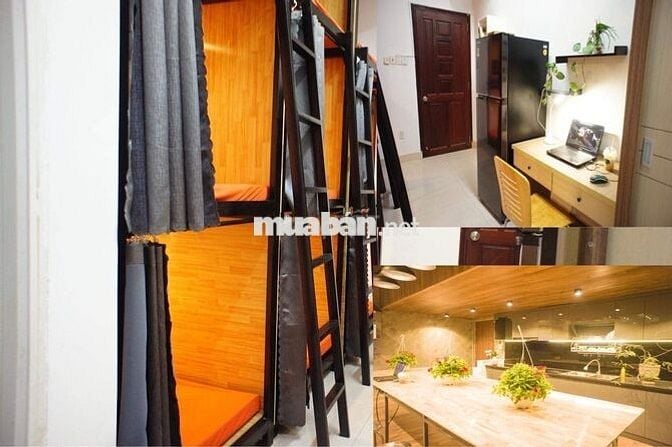 Đại học Kinh tế HCM UEH Cách Mạng Tháng 8 Trọ ghép Sinh viên Văn phòng